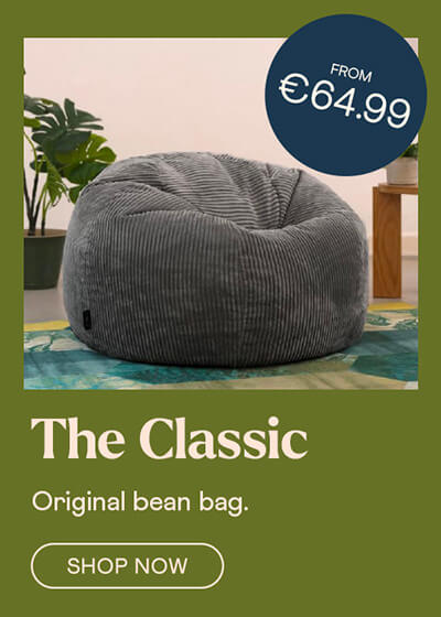 Living Room Bean Bags