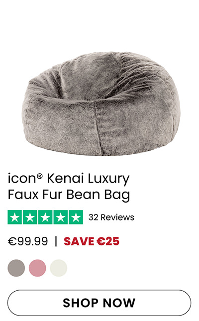 Fur Bean Bags
