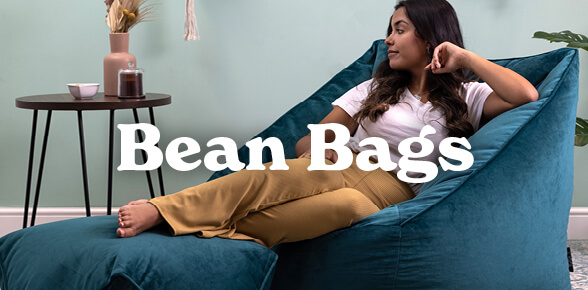 beanbag adult